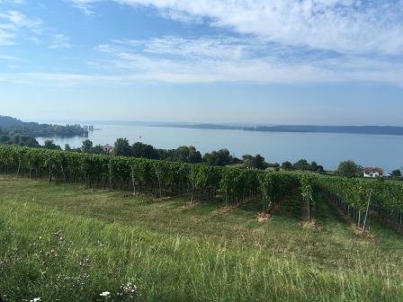 70_2020-08-10 09-54-25.JPG